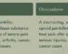 What's the difference between oxycontin and oxycodone
